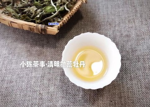 白牡丹普洱茶特点-白牡丹普洱茶特点是什么