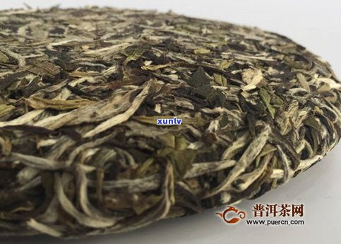 白牡丹普洱茶特点-白牡丹普洱茶特点是什么