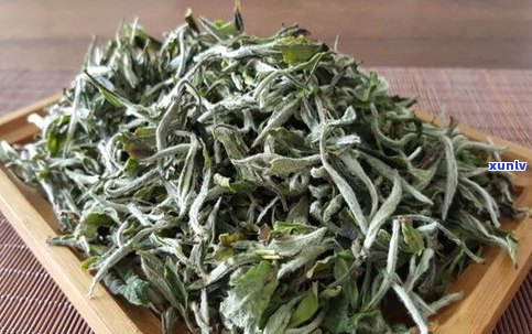 白牡丹普洱茶特点-白牡丹普洱茶特点是什么