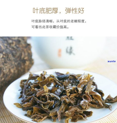 普洱茶原产地：探寻云南西双版纳的茶香之旅