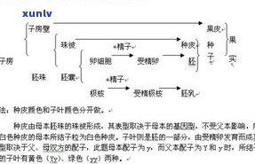 玉石产生条件有哪些？详解其形成所需的地质、温度、压力等因素