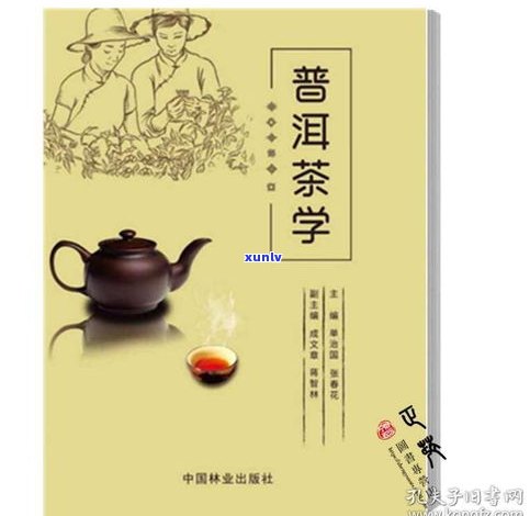 普洱茶有图书推荐吗？知乎热门回答解析及专业书推荐