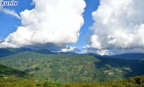 哀牢山绿春普洱茶-哀牢山普洱茶特点