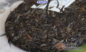 熟普洱茶放冰箱里-熟普洱茶放冰箱里能放多久