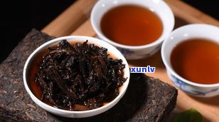 兴业号普洱茶官网-兴业茶叶