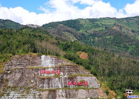 普洱茶东半山和西半山的划分：产地、特点及口感对比