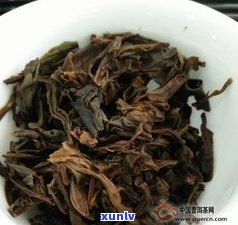 东半山普洱茶功效-东半山普洱茶口感