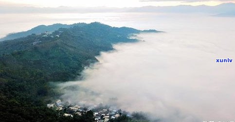 东半山普洱茶功效-东半山普洱茶口感