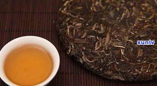 什么时候种普洱茶最合适？熟悉种植节与时间