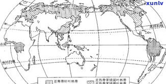 玉石产地地貌特征详解：类型、形成原因与分布区域