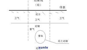 玉原石是什么？定义、特征与图片全解析