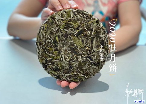 普洱茶饼专用袋子-普洱茶饼专用袋子图片