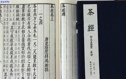 羽茶经普洱茶：揭示羽与普洱茶的历渊源及《茶经》为何未提及普洱茶，探讨羽茶经中的十大名茶及其简介