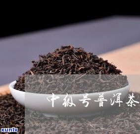 普洱茶中期能喝吗？有吗？科普解析与图片展示