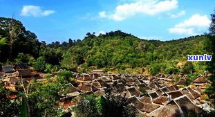 思西盟普洱茶山：探索云南省特色茶叶种植区与旅游胜地