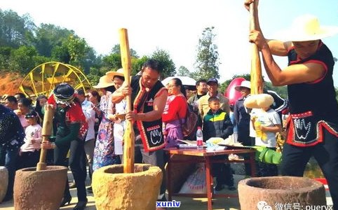 哈尼族自制普洱茶图片大全：深入熟悉哈尼族的普洱茶文化