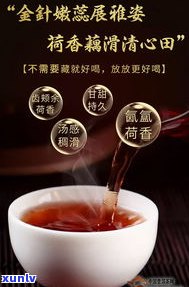 老普洱茶香有几种-老普洱茶香有几种香型