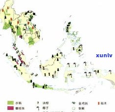 玉原石的产地在哪里？全球主要产地一览