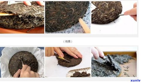 普洱茶冲泡比例：正确的比例是多少？