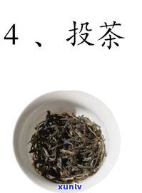 普洱茶冲泡配方表-普洱茶冲泡配方表图片