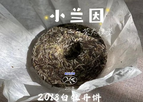 如何保存普洱茶茶饼以保持其原始品质：有效 *** 与技巧