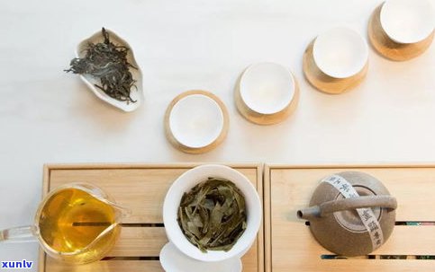 爱普洱茶人的茶语-爱普洱茶人的茶语是什么