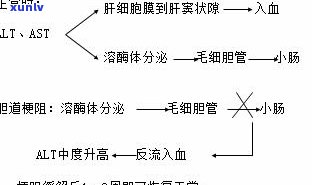 三两碎银的意思及其等价价值解析