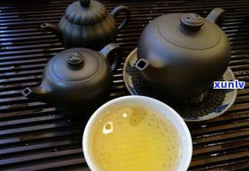 泡普洱茶用什么？从茶具到水的选择全解析