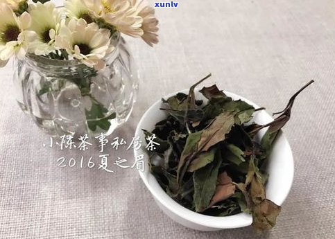 普洱茶发霉鉴定：如何准确判断茶叶是否变质？