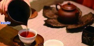 普洱茶属于哪类茶？详解其种类与茶系归属