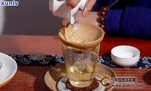 普洱茶可以直接泡在水杯里吗？