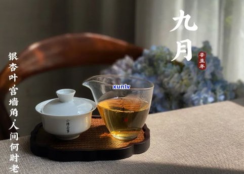 30几块的普洱茶是真是假？能否饮用？