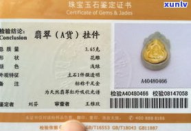 海鑫堂普洱茶真假对比：视频全面解析，产品评测与价格查询