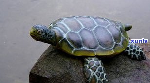 玉石乌龟摆件-玉石乌龟摆件有什么讲究
