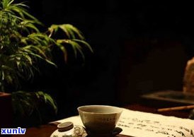 买普洱茶有什么讲究？了解选购技巧与忌讳