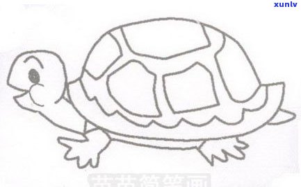 玉石乌龟图片大全大图：高清、真实、简笔画及寓意解析