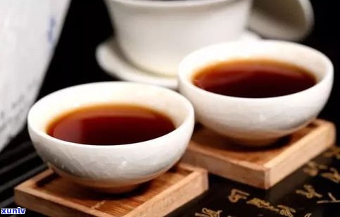 深入了解普洱茶：种类、特点及功效