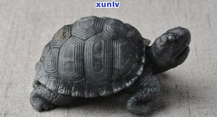 乌龟玉雕：寓意、图片大全及作品欣赏