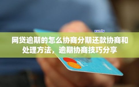 网贷逾期还不上，协商解决  及效果分析