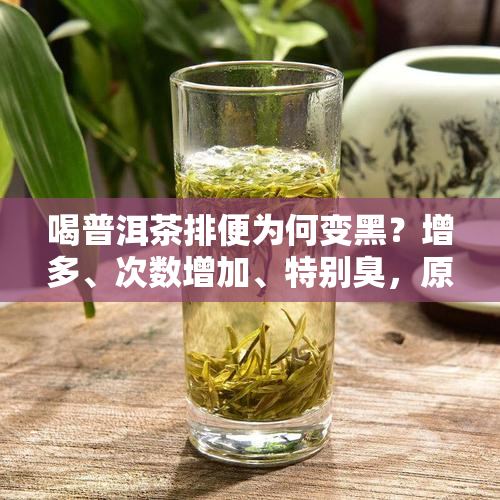 北京普洱茶排行