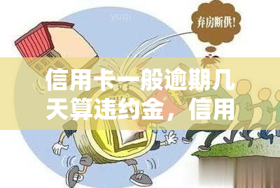 翡翠戒指蛋面优质颜色选择指南