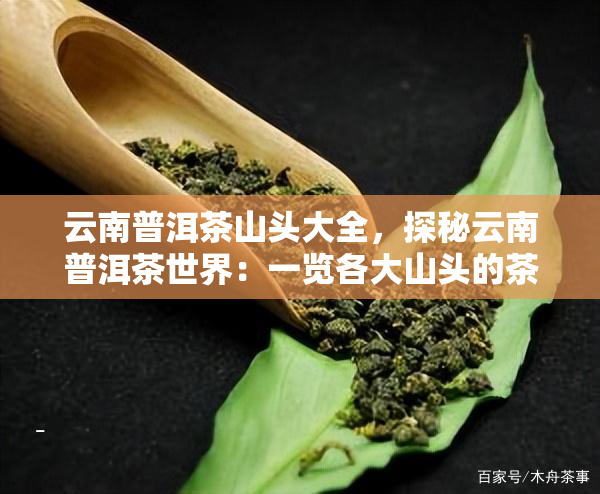 信用卡已还清却未收到还款确认信息的原因分析