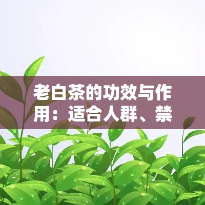 5a冰种翡翠等级划分及其价格对照分析