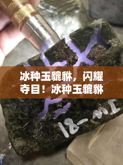 代还信用卡被诈骗怎么办