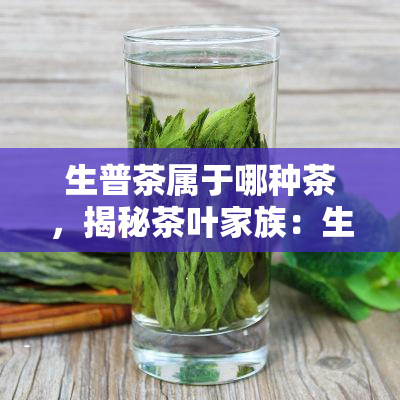 探寻翡翠浅蓝绿的奇幻魅力：一段独特的绿色旅程