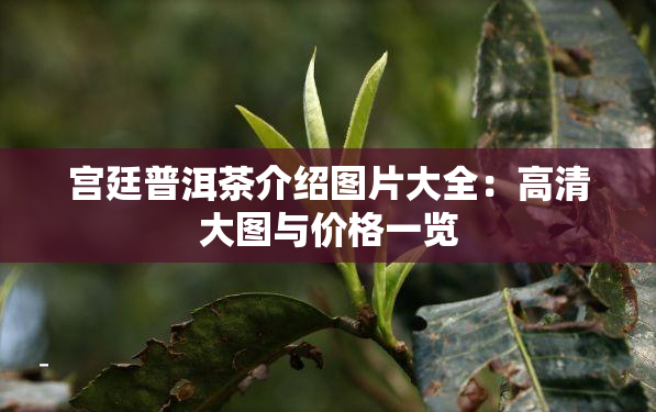 借呗借款还信用卡合适吗：解析借呗信用卡还款的利弊与注意事项