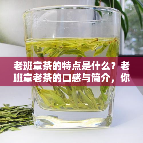 普洱茶减肥分析：成功案例与减肥原理探究