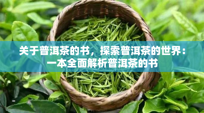 普洱茶出名