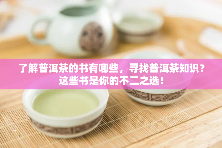 普洱茶冷泡的冲泡方法及时间