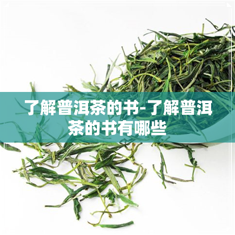 探索小众普洱茶的独特魅力与风味